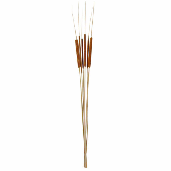 Art.10225 Vara Cuete 1.2m (Aprox) 1pz