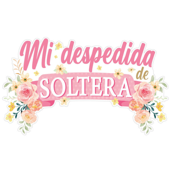 Art.10234 Letrero Mi Despedida De Soltera 40x68cm 1pz