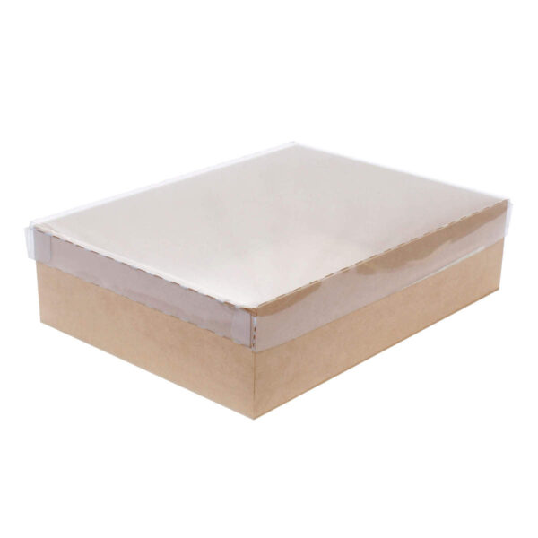 Art.10494 Caja Rectangular Con Tapa Transparente 8x30.5x22.5cm 1pz