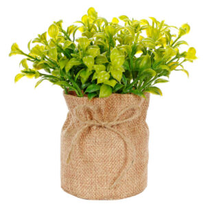 Art.10539 Planta Base De Yute 17.5cm 1pz