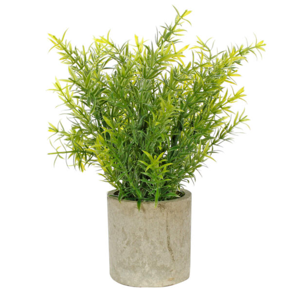 Art.10573 Planta Grande Base Fina 25cm 1pz