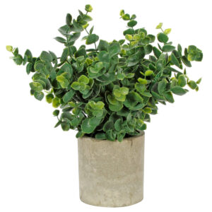 Art.10576 Planta Grande Base Fina 22cm 1pz