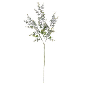 Art.10582 Vara De Eucalipto x3 65cm 1pz