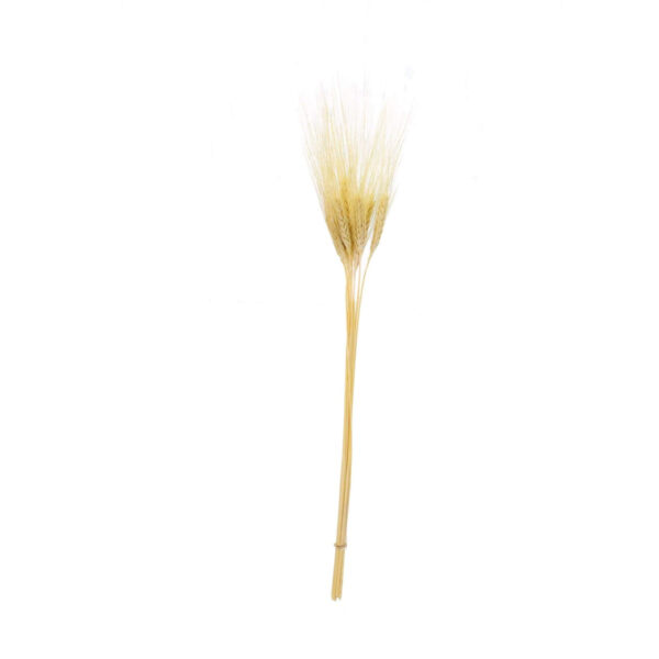 Art.1095 Espiga De Trigo 74cm 12pz