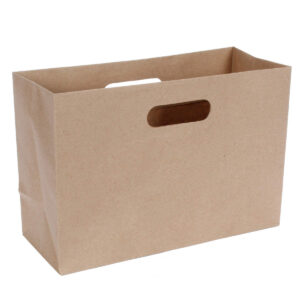 Art.10951 Bolsa Kraft Con Asa 20x29x12cm 1pz