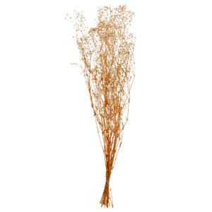 Art.11049 Ramo Gypsophila Natural 40gm 1pz