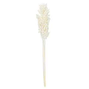 Art.11098 Vara Sorgo 50cm 1pz