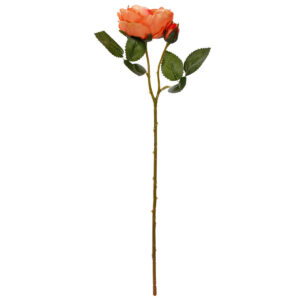 Art.1245 Vara Rosa Fina Con Botón 50cm 1pz