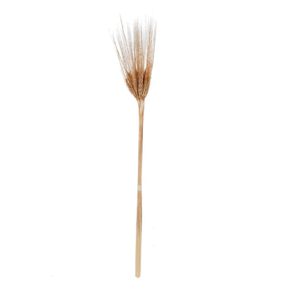 Art.1249 Espiga De Trigo Color Metálico 63.5cm Aprox 10pz