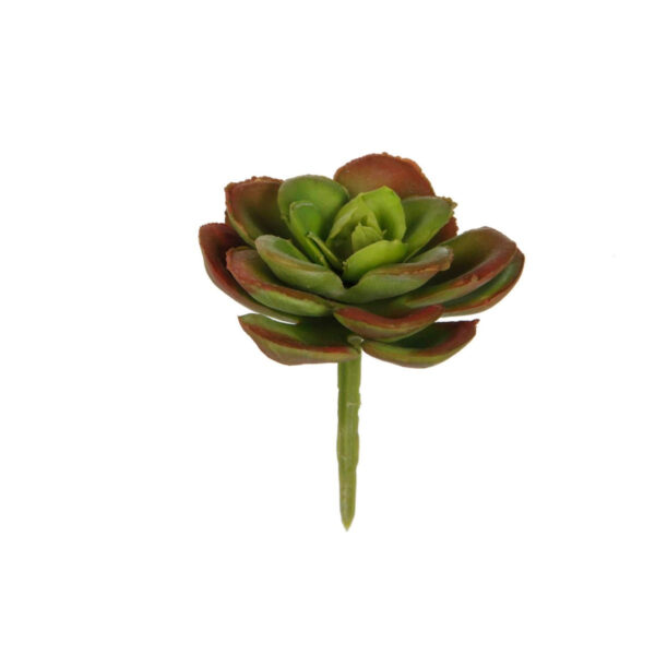 Art.1722 Cactus Chico Sin Maceta 7cm 1pz