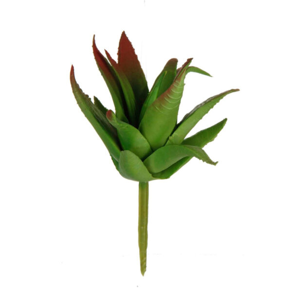 Art.1771 Cactus Chico Sin Maceta 1pz 10cm 1pz