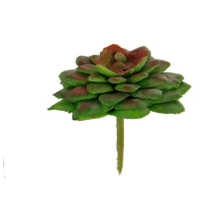 Art.1798 Cactus Chico Sin Maceta 6.5cm 1pz