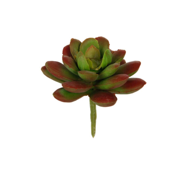 Art.1808 Cactus Chico Sin Maceta 7cm 1pz