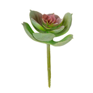 Art.1825 Cactus Chico Sin Maceta 9.5cm 1pz