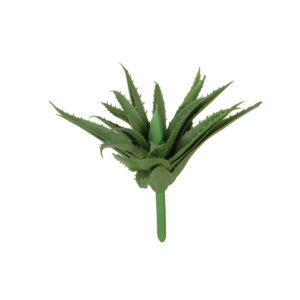 Art.2087 Cactus Sin Maceta 15cm 1pz