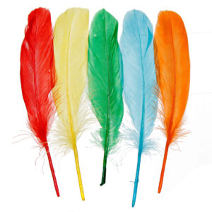 Art.2430 Plumas De Ganzo 15-22cm 20pz