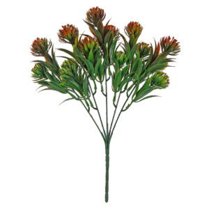 Art.2568 Plantita x5 Color Especial 30cm 1pz