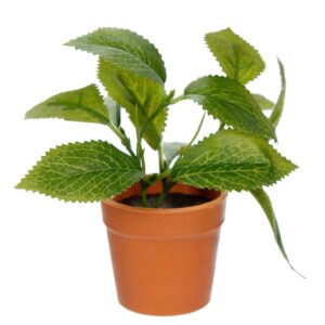 Art.268 Mini Planta Con Maceta 12cm 1pz
