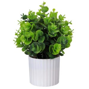 Art.2847 Planta Con Maceta 24cm (Aprox) 1pz
