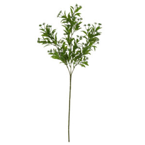 Art.2874 Planta Fina x3 67cm 1pz