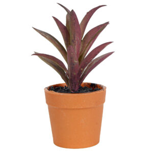 Art.290 Mini Cactus Con Maceta 10cm 1pz