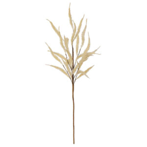 Art.2906 Flor De Pampa 83cm 1pz