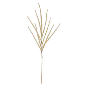 Art.2912 Flor De Pampa 88cm 1pz