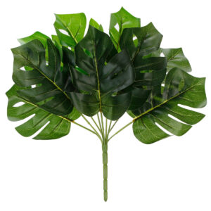 Art.3845 Planta Fina x9 32cm 1pz