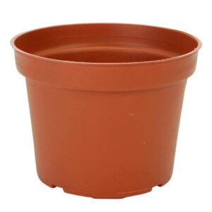 Art.3900 Maceta De Plástico 11.5x15cm 1pz