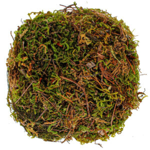 Art.4401 Bolsa Musgo 50g 1pz