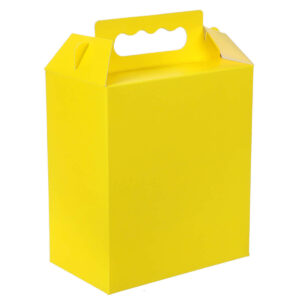 Art.4534 Lonchera Neón 18x12.5x7.5cm 2pz