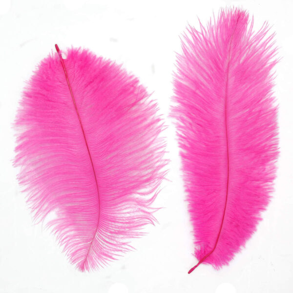 Art.4726 Pluma De Avestruz 20-25cm 2pz