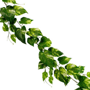 Art.4755 Enredadera Fina Follaje 1.9m 1pz