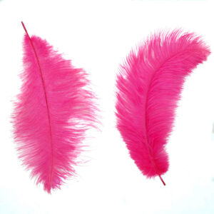 Art.4768 Pluma De Avestruz 30-35cm 2pz