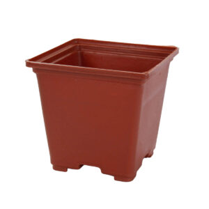 Art.5297 Maceta De Plástico 6.7cm 1pz