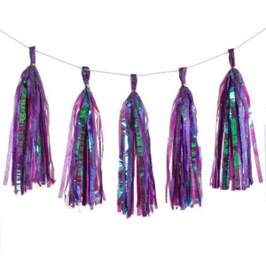 Art.6480 Guía Borlas Iris x5 36cm 2.5m 1pz