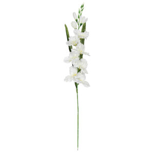 Art.6921 Flor Tallo Gladiola X1, 7 Flor 1pz