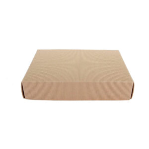 Art.8068 Caja Rectangular Corrugado 7.5x38x28cm 1pz