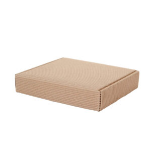 Art.9549 Caja Micro Corrugado 4.5x21.5x19.5cm 1pz