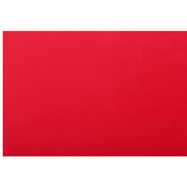 Art.9623 Placa De Fomi 49.3x49.3cmx6mm 1pz