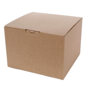 Art.9962 Caja Cartón 16.5x23x23cm 1pz