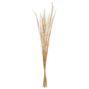 Art.9968 Espiga De Zacate 1.5m 1pz