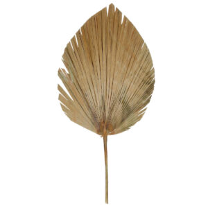 Art.10228 Hoja De Palma 1.10m (Aprox) 1pz