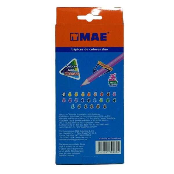 COLOR LARGO MAE C/12 DOBLE TRIANG.CM-12B - Imagen 2