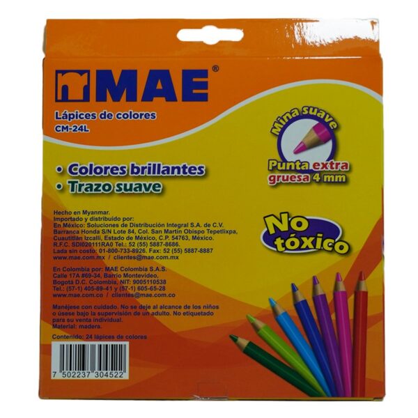 COLOR LARGO MAE C/24 CM-24L - Imagen 2