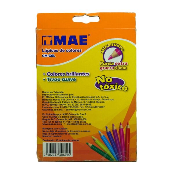 COLOR LARGO MAE C/36 C/4 ESTUCHES CM-36L MAE - Imagen 2