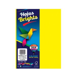 HOJA COLOR C/100 DIEM