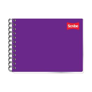 CUADERNO ITALIANO 00 CLASICO 100H C-5 SCRIBE  1502