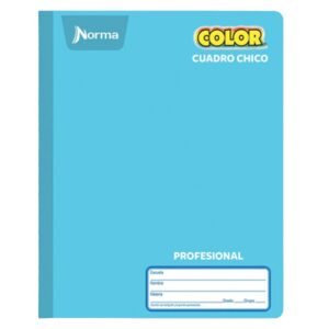 CUADERNO PROF. COSIDO NORMA COLOR C-5