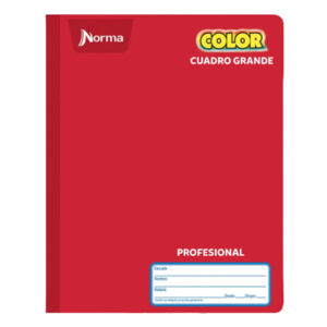 CAJA CUADERNO PROF. COSIDA 100H NORMA C/30 PZAS